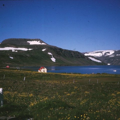 Myndin er merkt „Tjaldað á Hornströndum. Á Hesteyri. Hesteyrarfjörður. Kistufell í baksýn.“ Myndin er tekin í júlí árið 1974. Borgarskjalasafn Reykjavíkur. 