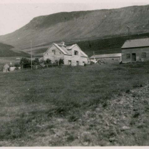 Bærinn Hof í Vatnsdal. Borgarskjalasafn Reykjavíkur.
